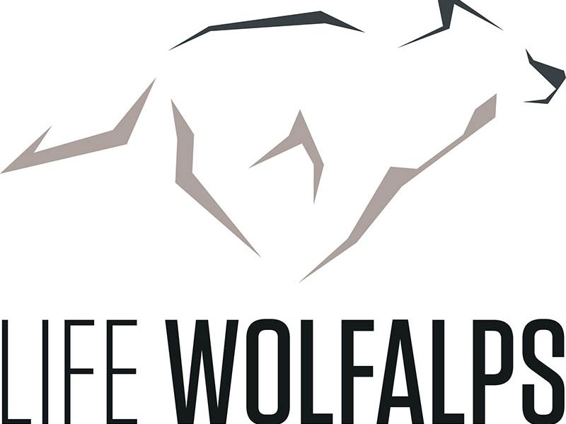 l'avventura in corso: 'Sentieri da lupi' si svolgerà con il patrocinio del progetto Life Wolfalps